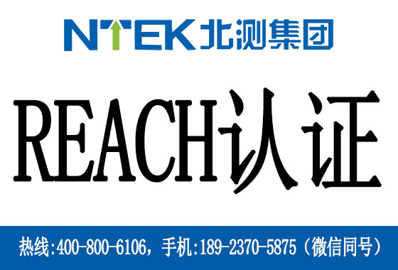 電池REACH法規