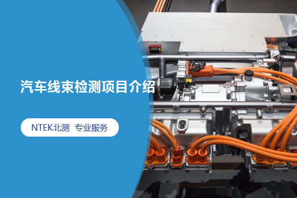 汽車線束檢測(cè)測(cè)試項(xiàng)目